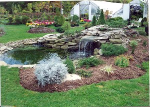 Pond Greenhouse    